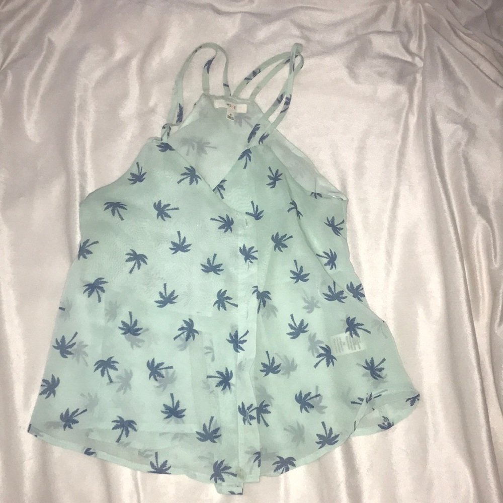 Cute palm tree top